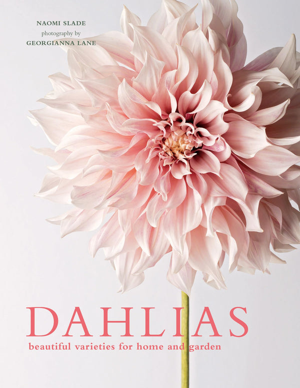 Dahlias: Beautiful Varieties for Home & Garden by Naomi Slade and Georgianna Lane