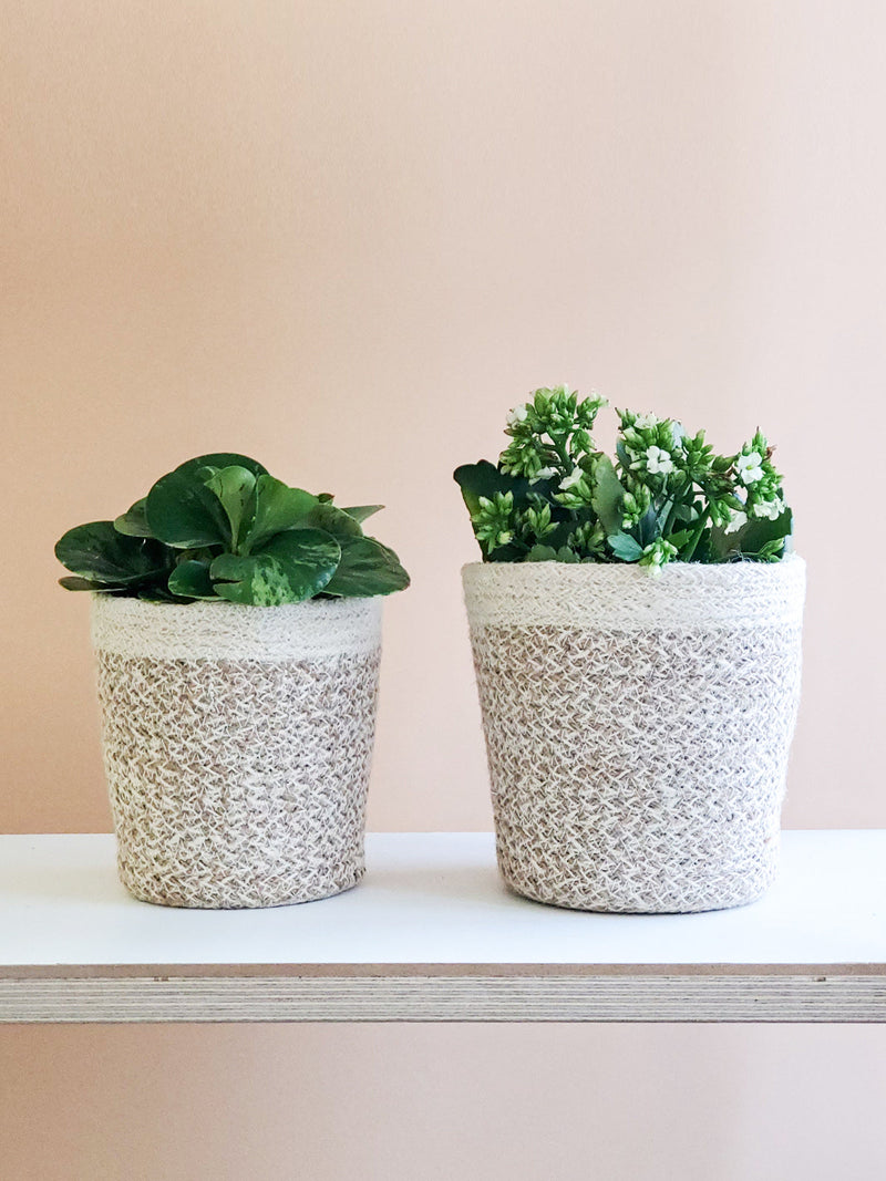 Agora Plant Basket (White)
