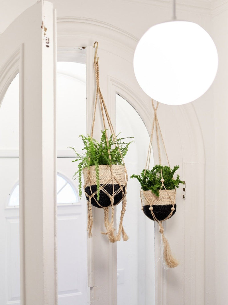 Nadu Plant Hanger